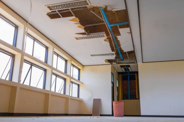 Best Carpet water damage restoration  in Center Hill, FL