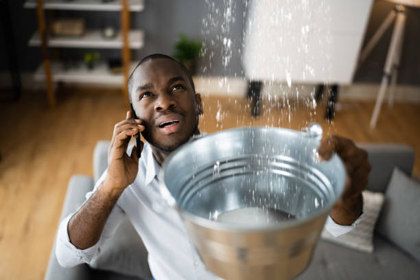 Best Basement water damage restoration  in Center Hill, FL