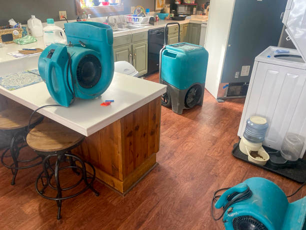 Best Water damage restoration specialists  in Center Hill, FL