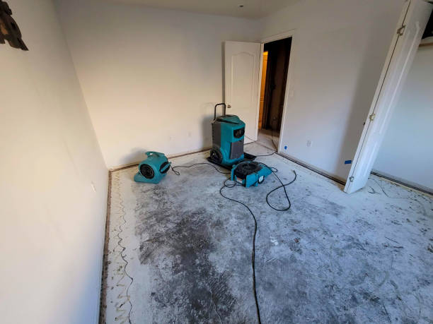 Best Water damage restoration cost  in Center Hill, FL