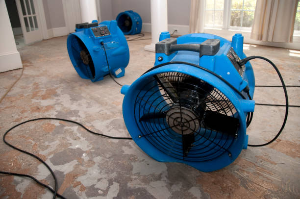 Best Water damage restoration near me  in Center Hill, FL