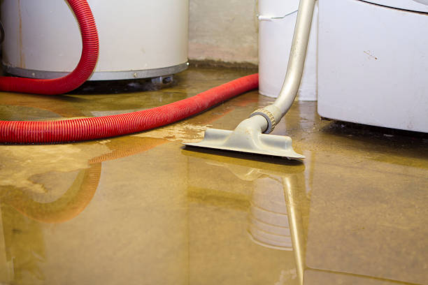 Best Mold removal after water damage  in Center Hill, FL