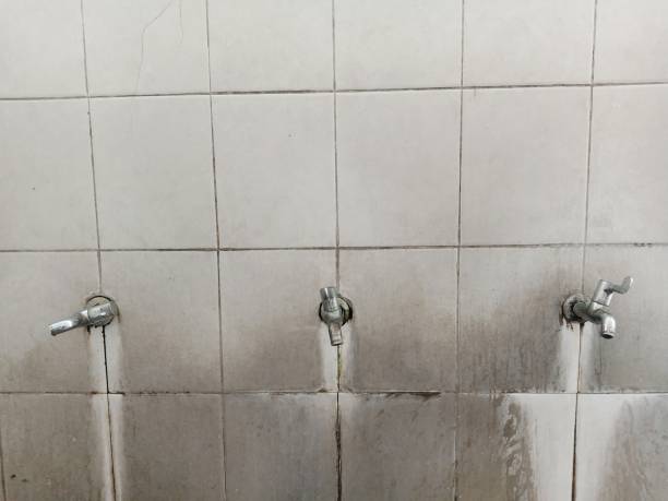 Best Ceiling water damage repair  in Center Hill, FL
