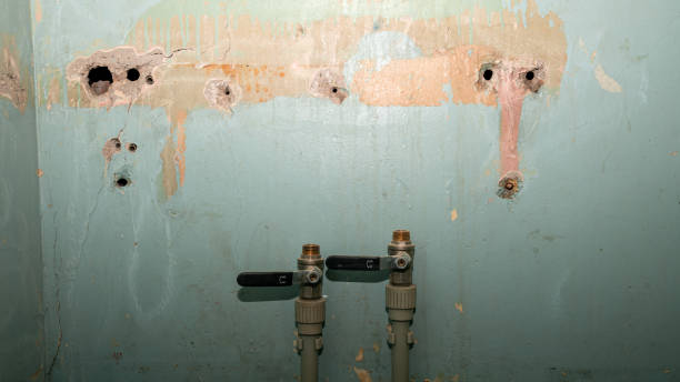 Best Commercial water damage restoration  in Center Hill, FL