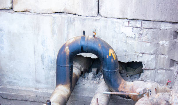 Best Local water damage restoration  in Center Hill, FL